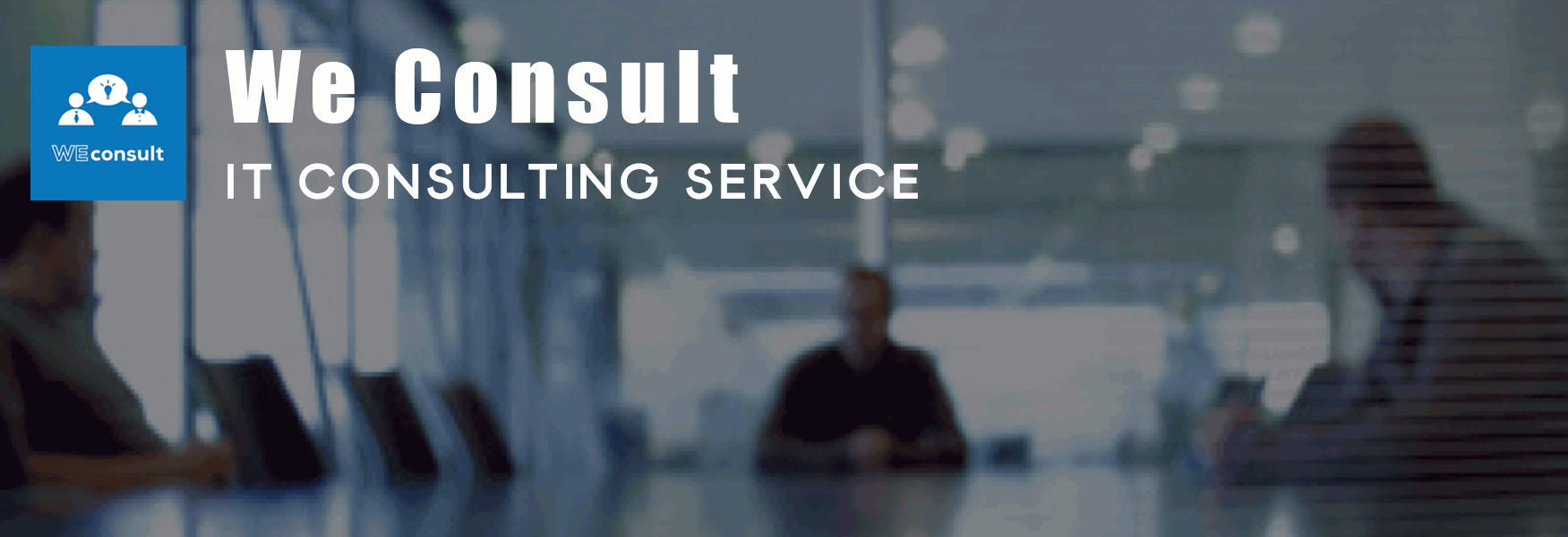 IT Consulting Service
